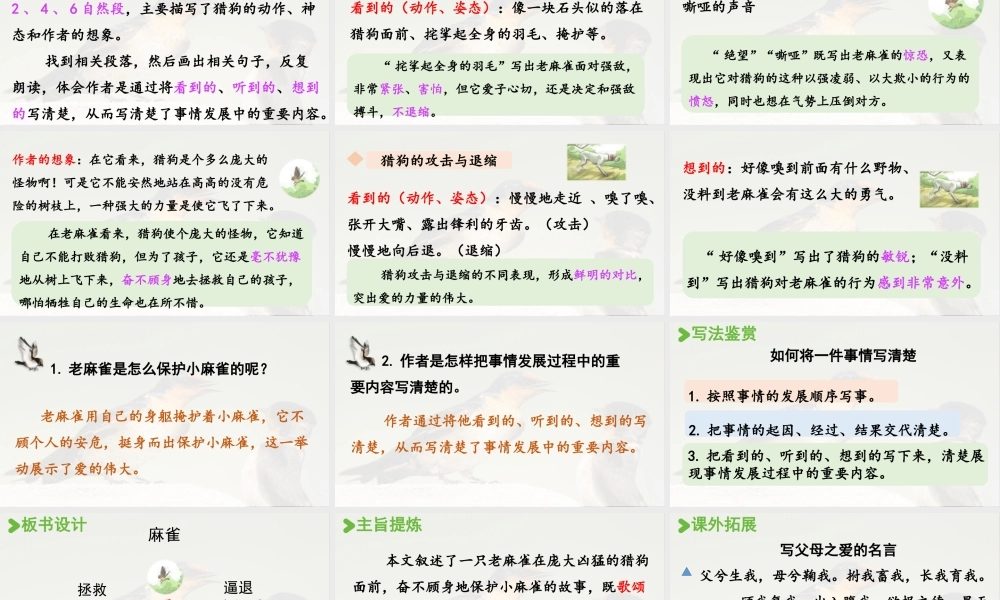 2025秋最新教材统编版语文四年级（上）第五单元-16《麻雀》第2课时【课件】