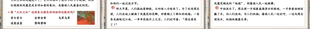【25秋】统编版小学语文二年级上册-6.16《难忘的泼水节》课件