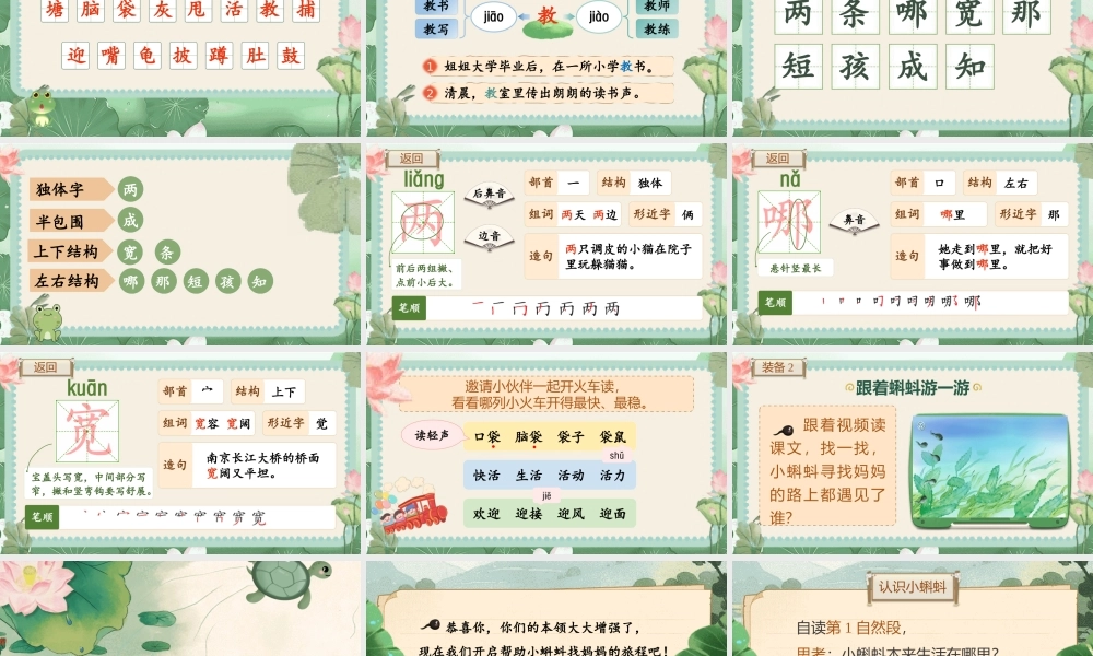 【25秋】统编版小学语文二年级上册-阅读1.《小蝌蚪找妈妈》课件