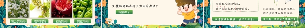【25秋】统编版小学语文二年级上册-阅读3.《植物妈妈有办法》课件