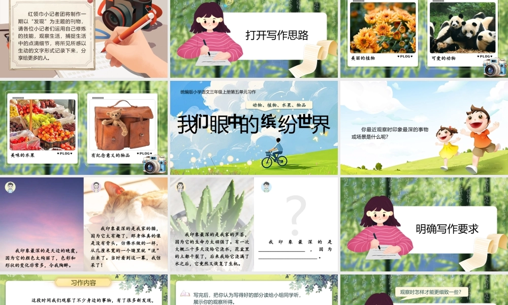 25秋统编版语文三年级上册第5单元《习作：我们眼中的缤纷世界》  课件