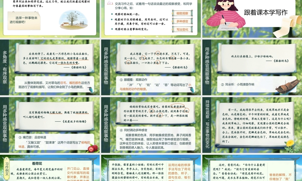 25秋统编版语文三年级上册第5单元《习作：我们眼中的缤纷世界》  课件