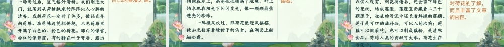 25秋统编版语文三年级上册第5单元《习作：我们眼中的缤纷世界》  课件