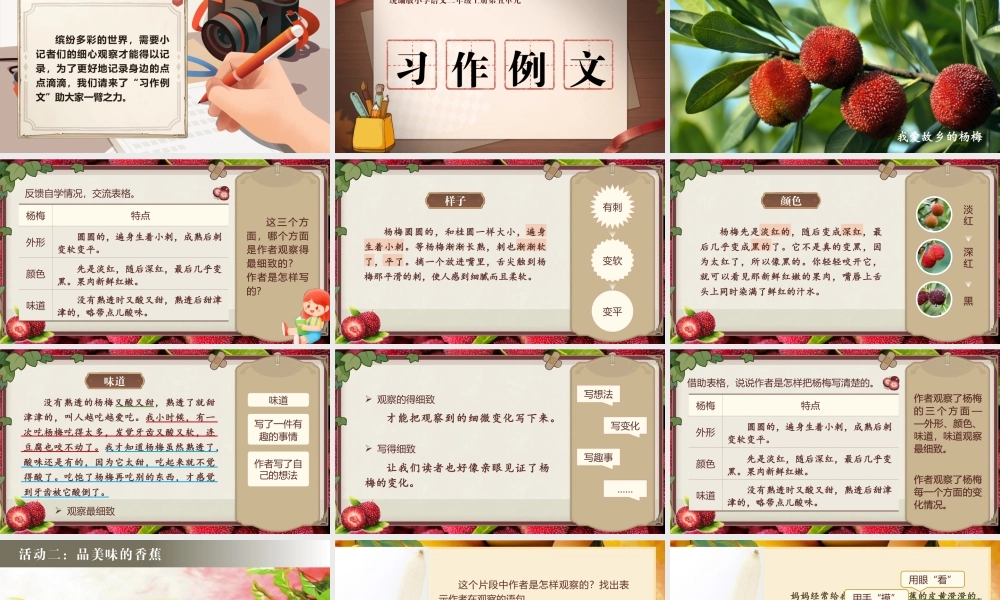 25秋统编版语文三年级上册第5单元《习作例文》  课件