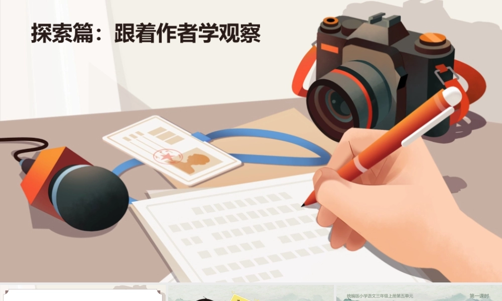25秋统编版语文三年级上册第5单元5.14《搭船的鸟》  课件