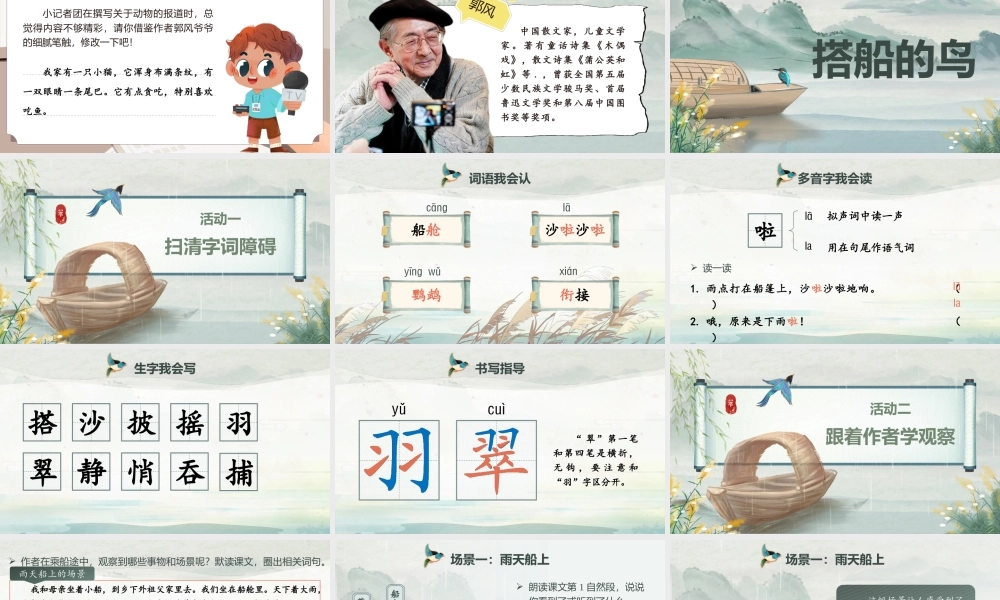 25秋统编版语文三年级上册第5单元5.14《搭船的鸟》  课件