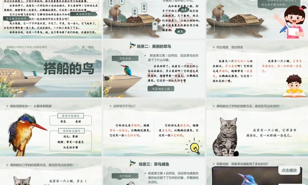 25秋统编版语文三年级上册第5单元5.14《搭船的鸟》  课件