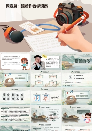 25秋统编版语文三年级上册第5单元5.14《搭船的鸟》  课件