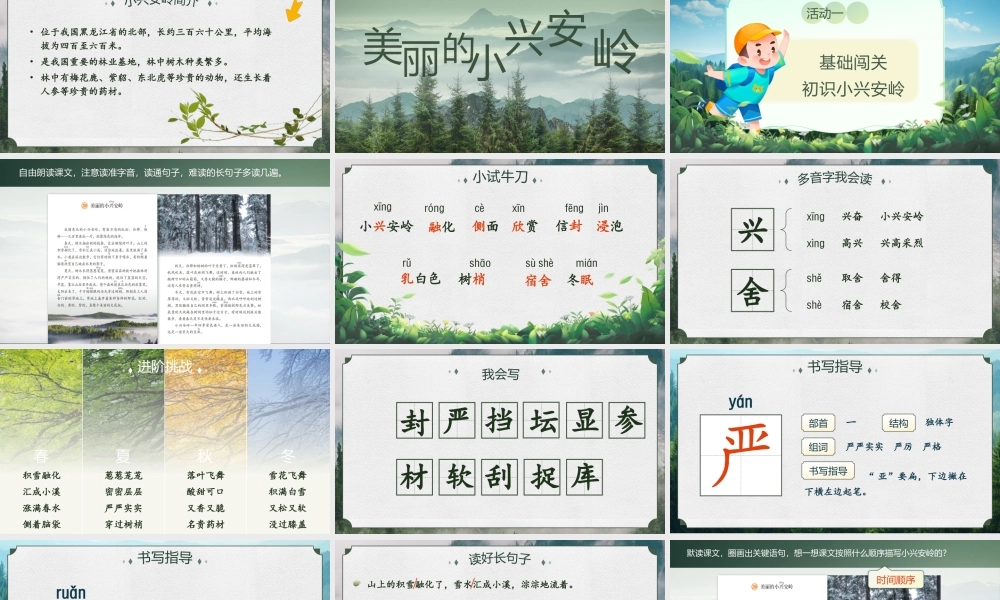 25秋统编版语文三年级上册第6单元6.18《美丽的小兴安岭》  课件