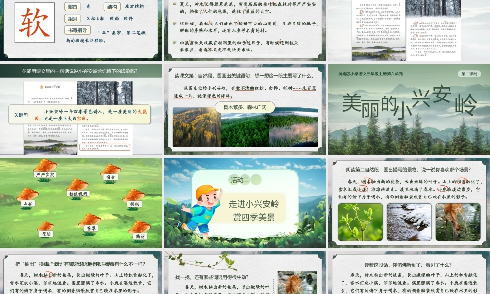 25秋统编版语文三年级上册第6单元6.18《美丽的小兴安岭》  课件