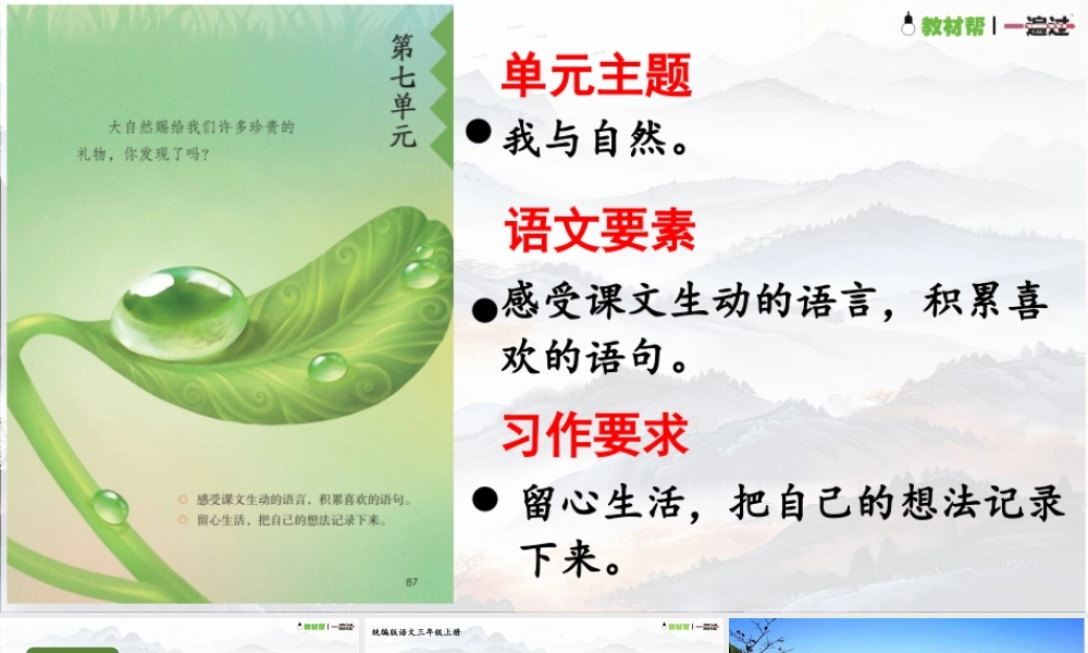 25秋统编版语文三年级上册第7单元6.17《鹿柴》  课件