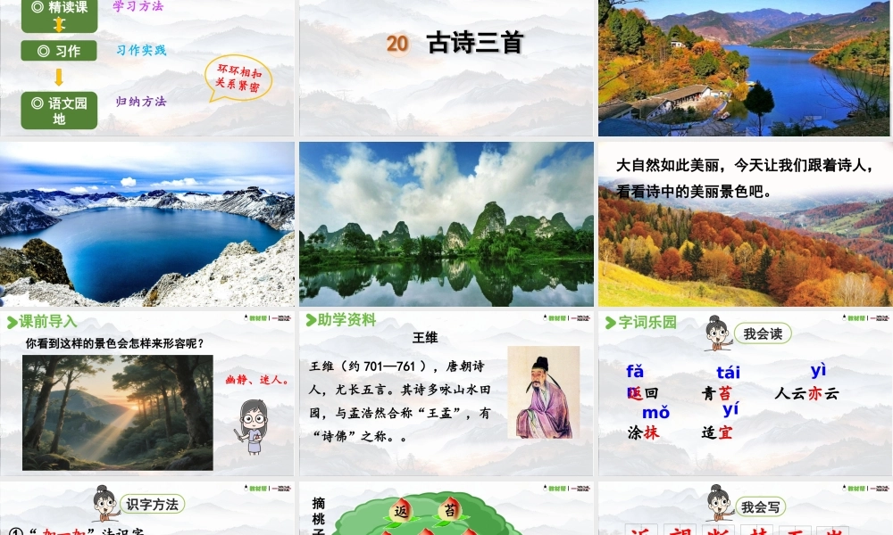 25秋统编版语文三年级上册第7单元6.17《鹿柴》  课件