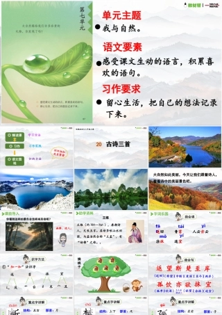 25秋统编版语文三年级上册第7单元6.17《鹿柴》  课件