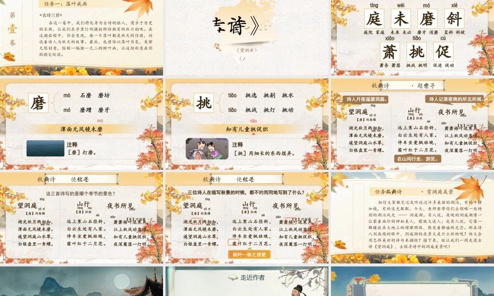 25秋统编版语文三年级上册第二单元2.4-1《望洞庭》  课件