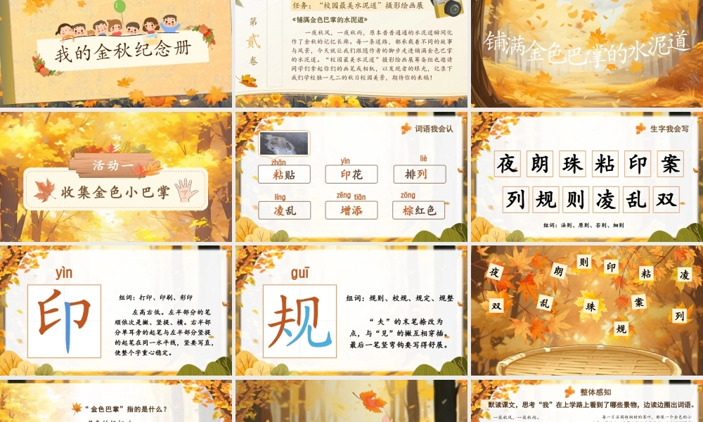 25秋统编版语文三年级上册第二单元2.5《铺满金色巴掌的水泥道》  课件