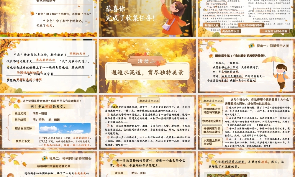 25秋统编版语文三年级上册第二单元2.5《铺满金色巴掌的水泥道》  课件