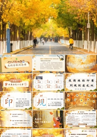 25秋统编版语文三年级上册第二单元2.5《铺满金色巴掌的水泥道》  课件