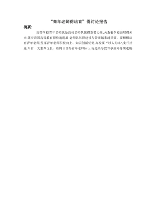 研究报告：青年教师的培养