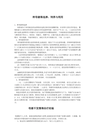 种母猪的饲养管理技术