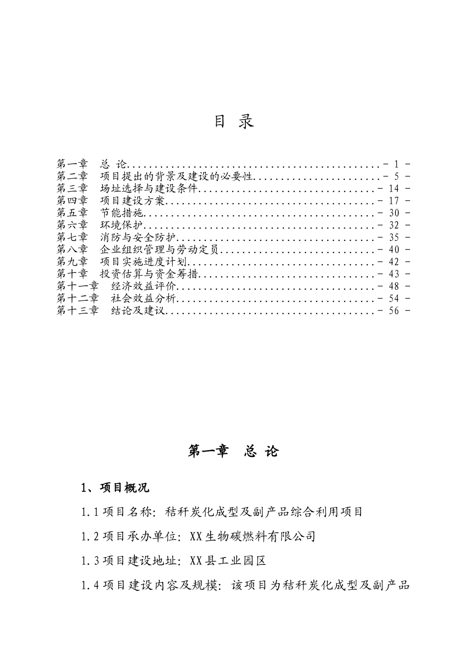 秸秆炭化成型及副产品综合利用项目可行性研究报告_第2页