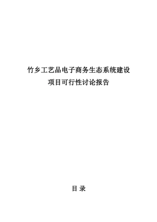 竹乡电子商务平台建设项目可行性研究报告
