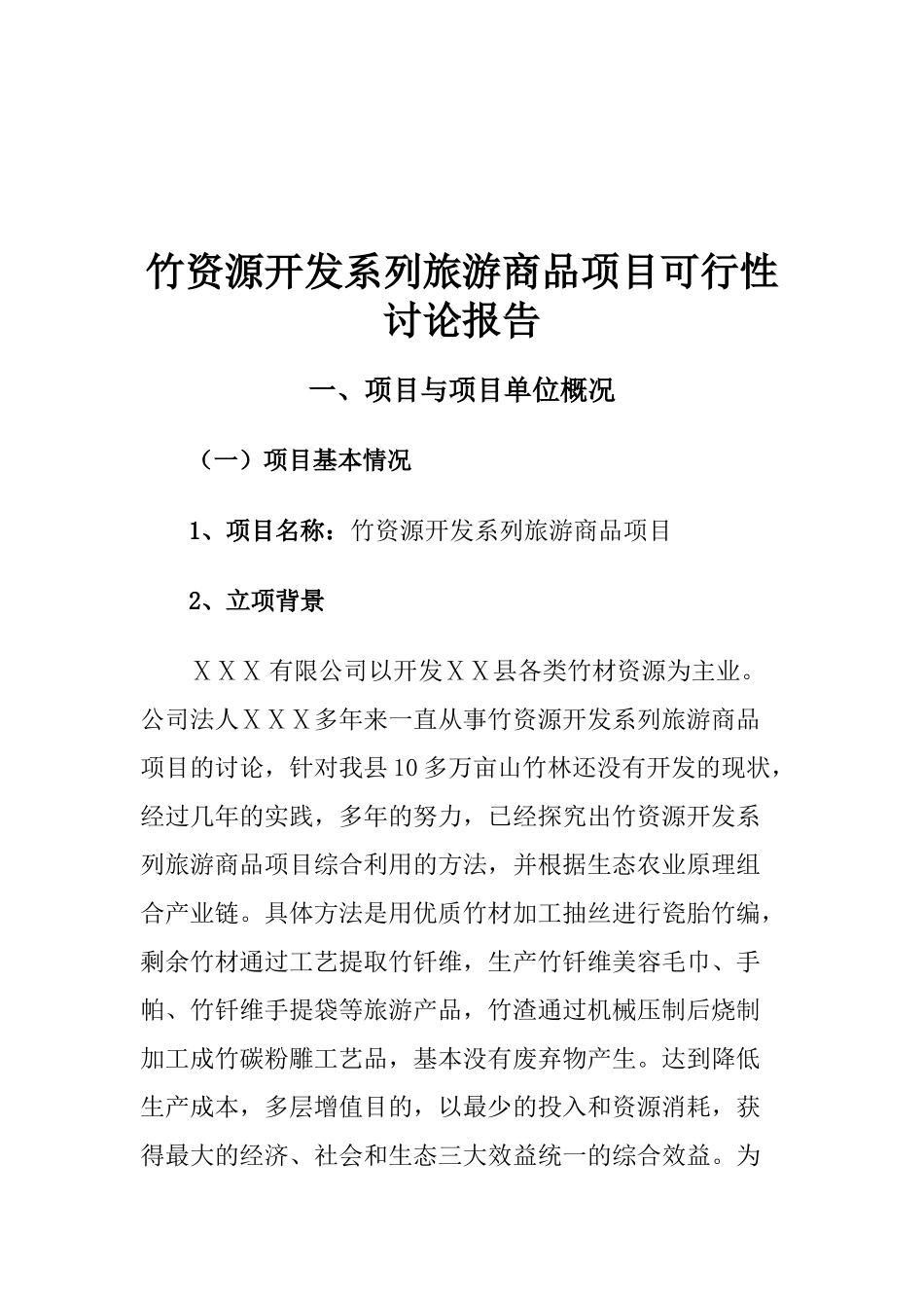 竹资源开发系列旅游商品项目可行性研究报告_第2页