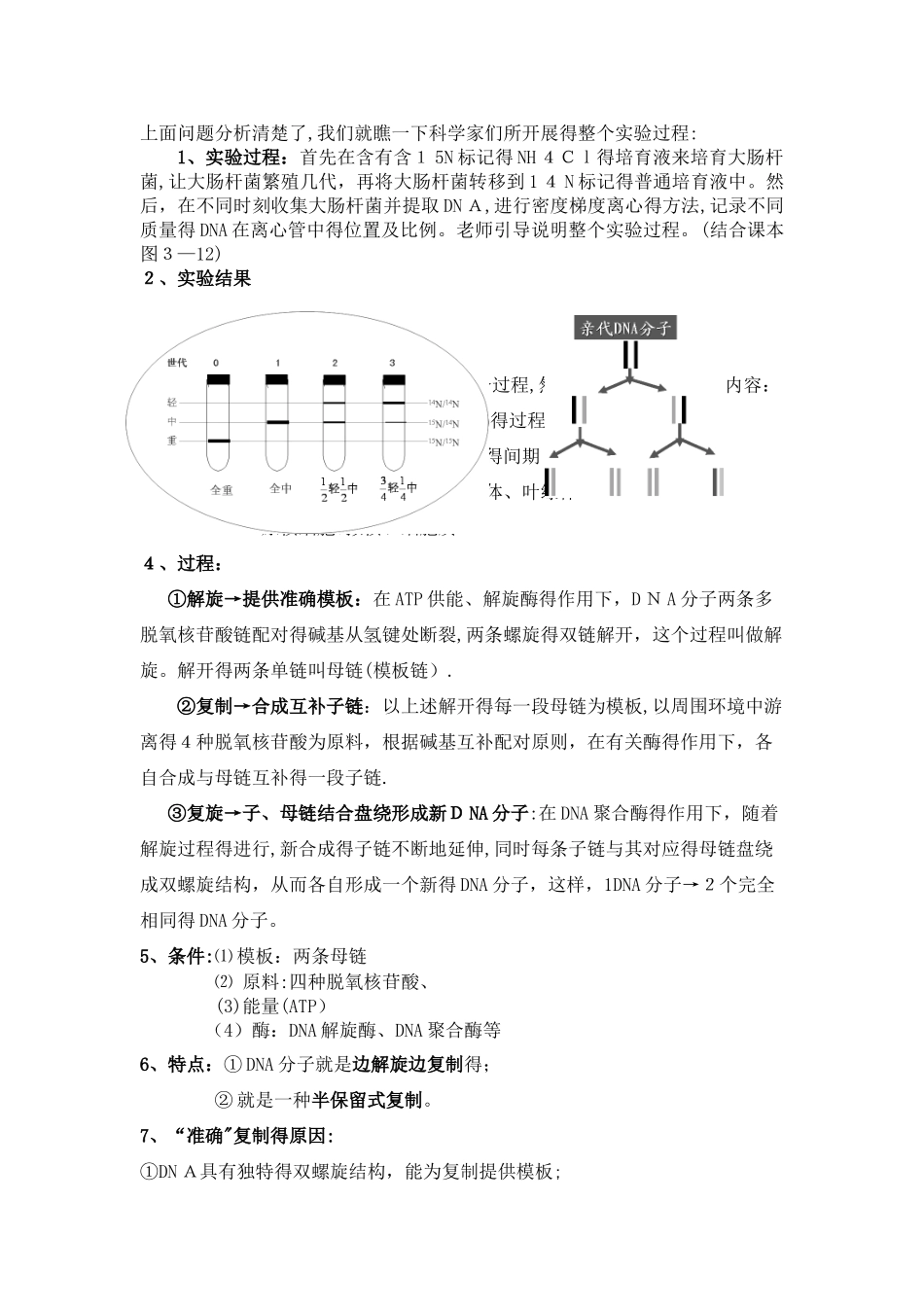 第三章第三节DNA的复制教案_第2页