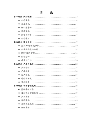 粽子专营公司创业计划书