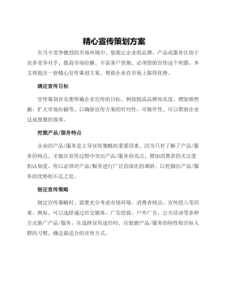 精心宣传策划方案