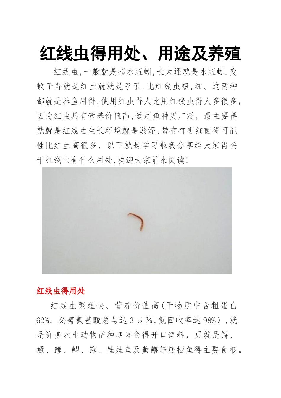红线虫的用处、用途及养殖_第1页