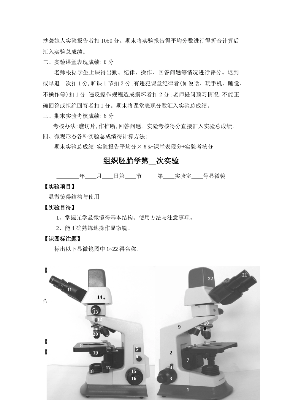 组胚病理遗传实验报告册_第3页