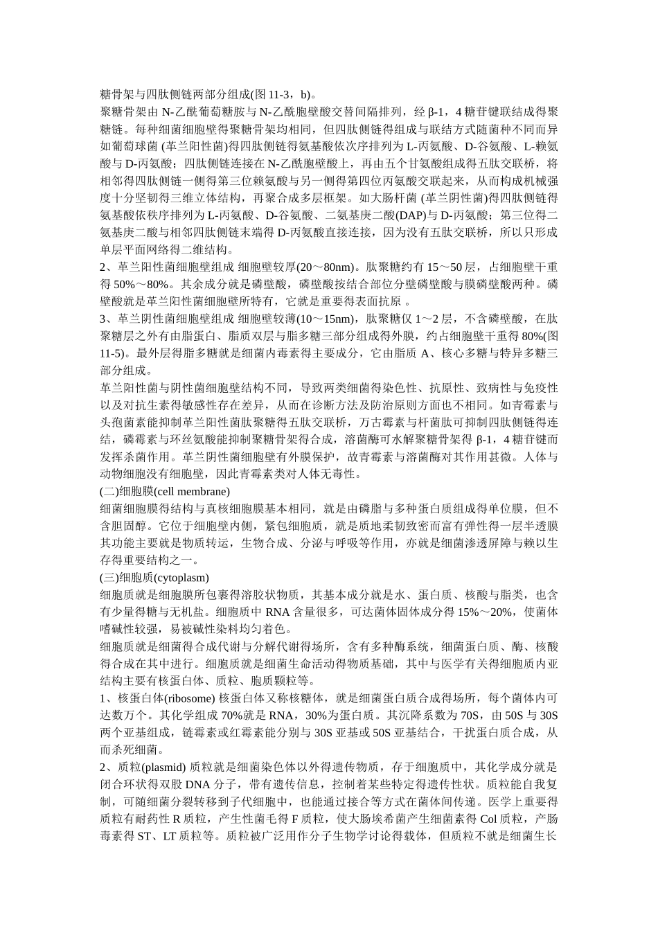 细菌的生物学特性_第2页
