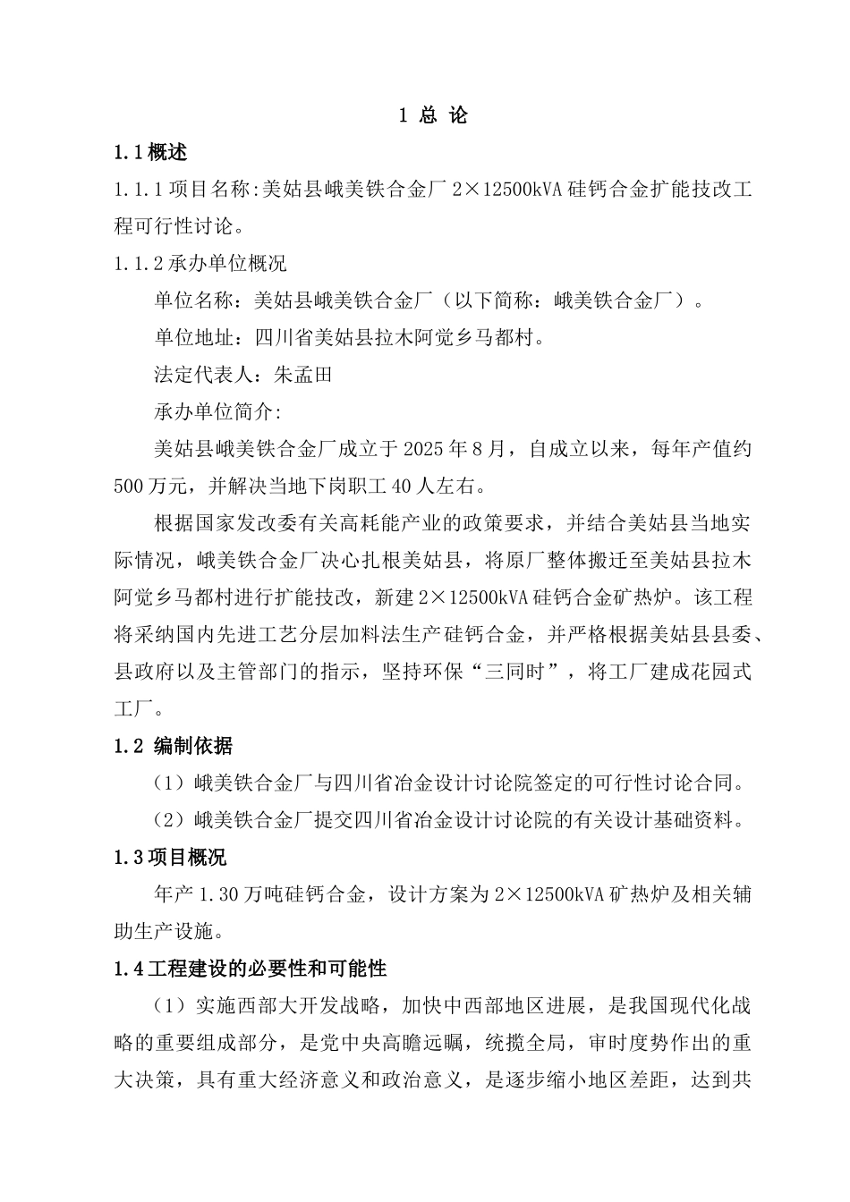美姑县峨美铁合金厂2×12500kVA硅钙合金扩能技改工程可行性研究报告_第2页
