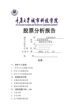 股票分析报告