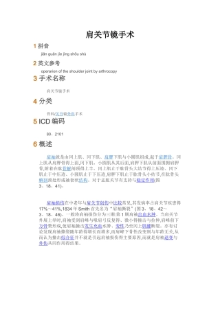 肩关节镜概述