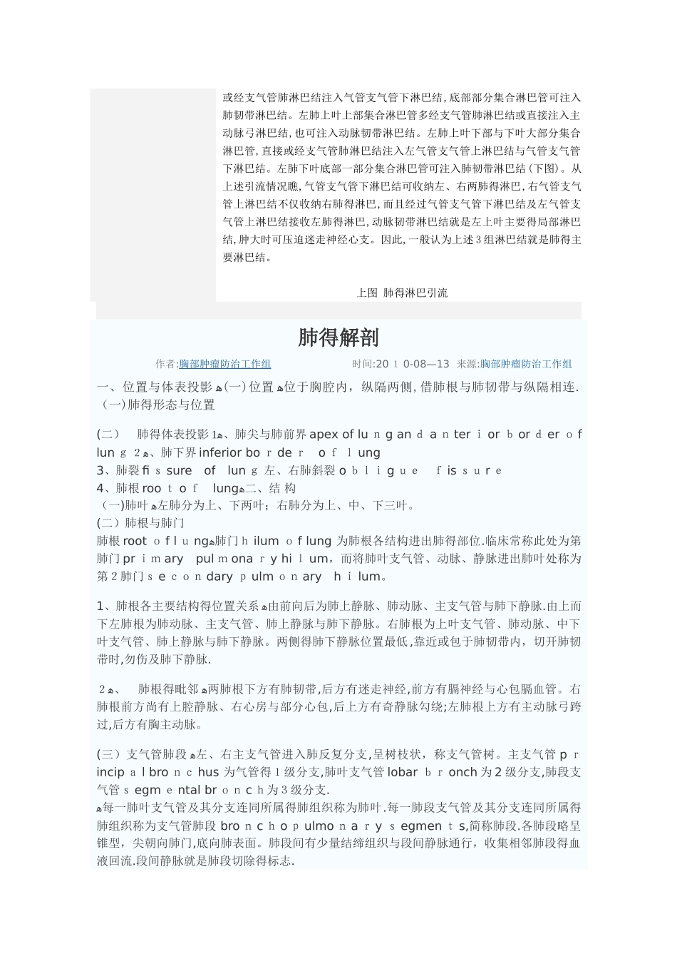 肺内气管与血管的应用解剖_第2页