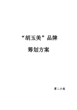 胡玉美策划方案