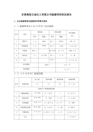 能源利用状况报告