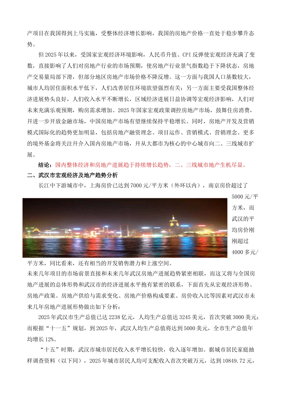 腾飞汤逊湖项目可行性研究报告_第2页