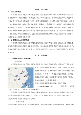 腾飞汤逊湖项目可行性研究报告