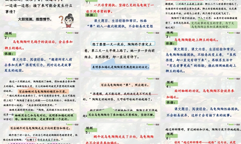 25秋统编版语文三年级上册第三单元3.10《犟龟》  课件