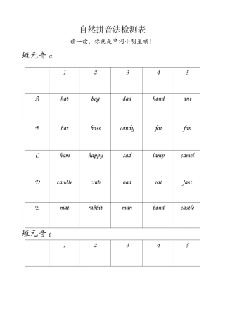 自然拼读法短音a,e,i,o,u检测表