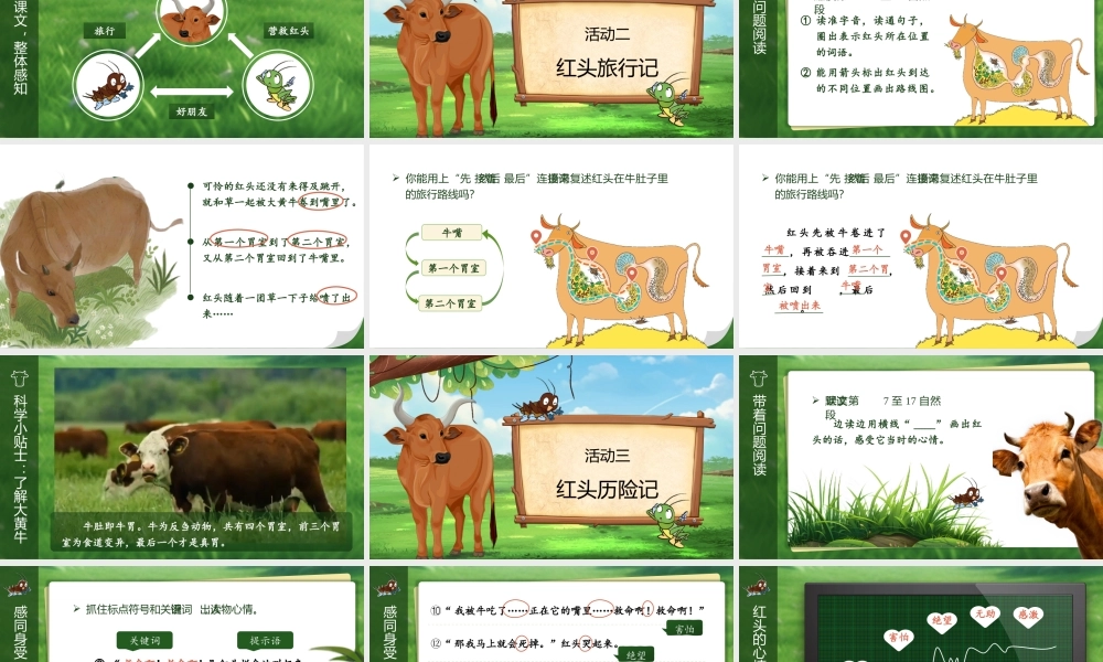 25秋统编版语文三年级上册第四单元4.12《在牛肚子里旅行》  课件