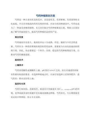 芍药种植策划方案