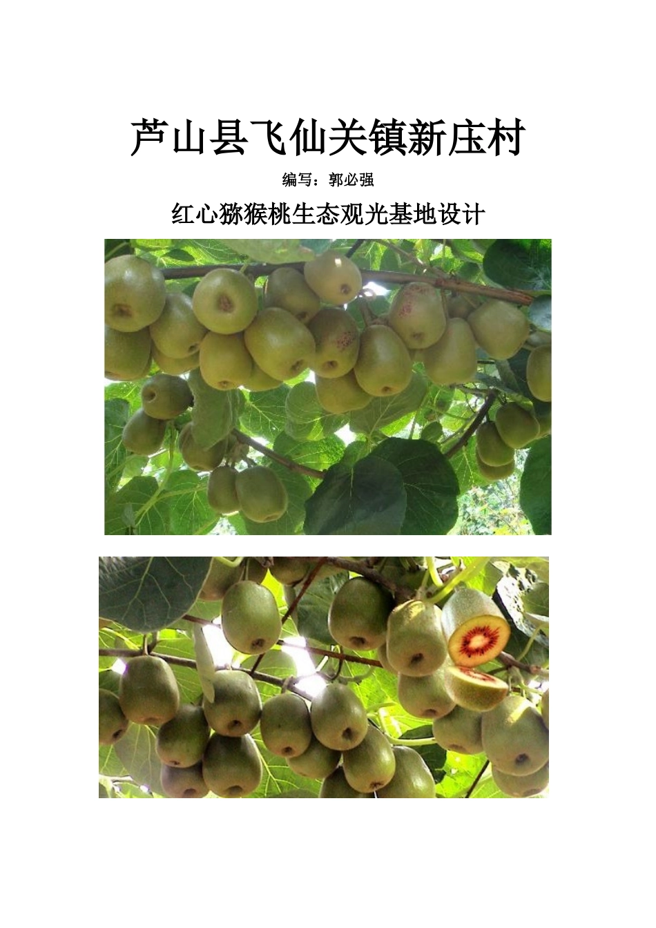 芦山县飞仙关镇新庒村红心猕猴桃基地建设技术方案_第3页