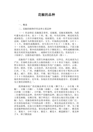 花椒的品种本科学位论文