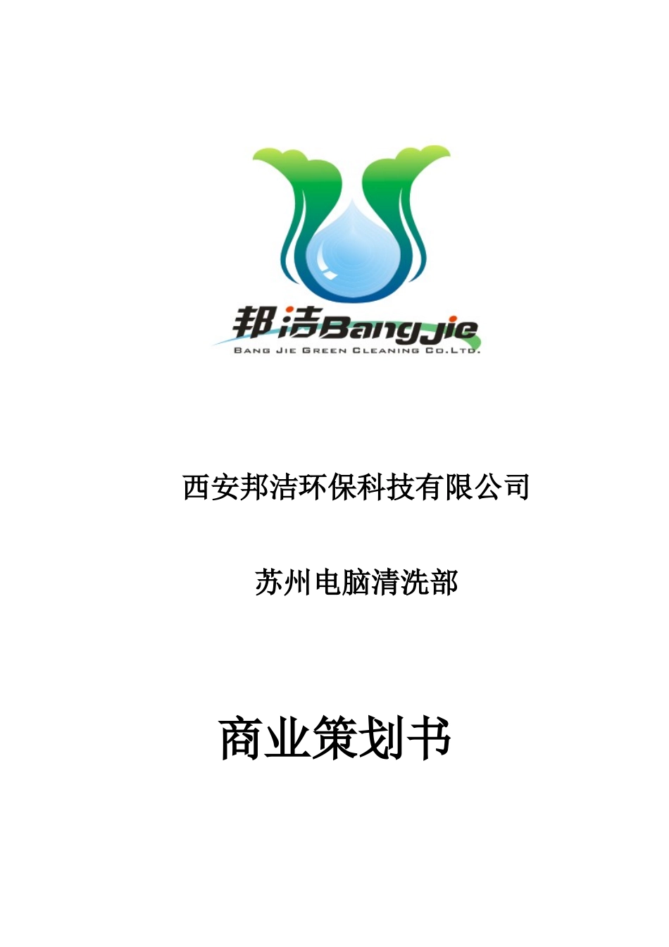 苏州电脑清洗部立项计划书_第1页