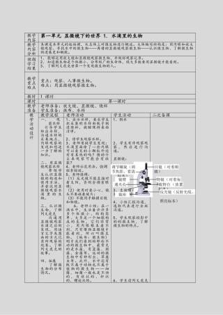 苏教版六年级小学科学上册教案