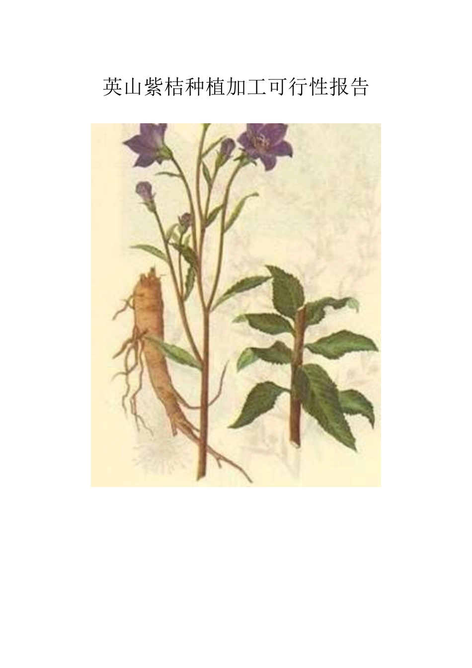 英山紫桔种植加工项目可研报告_第2页
