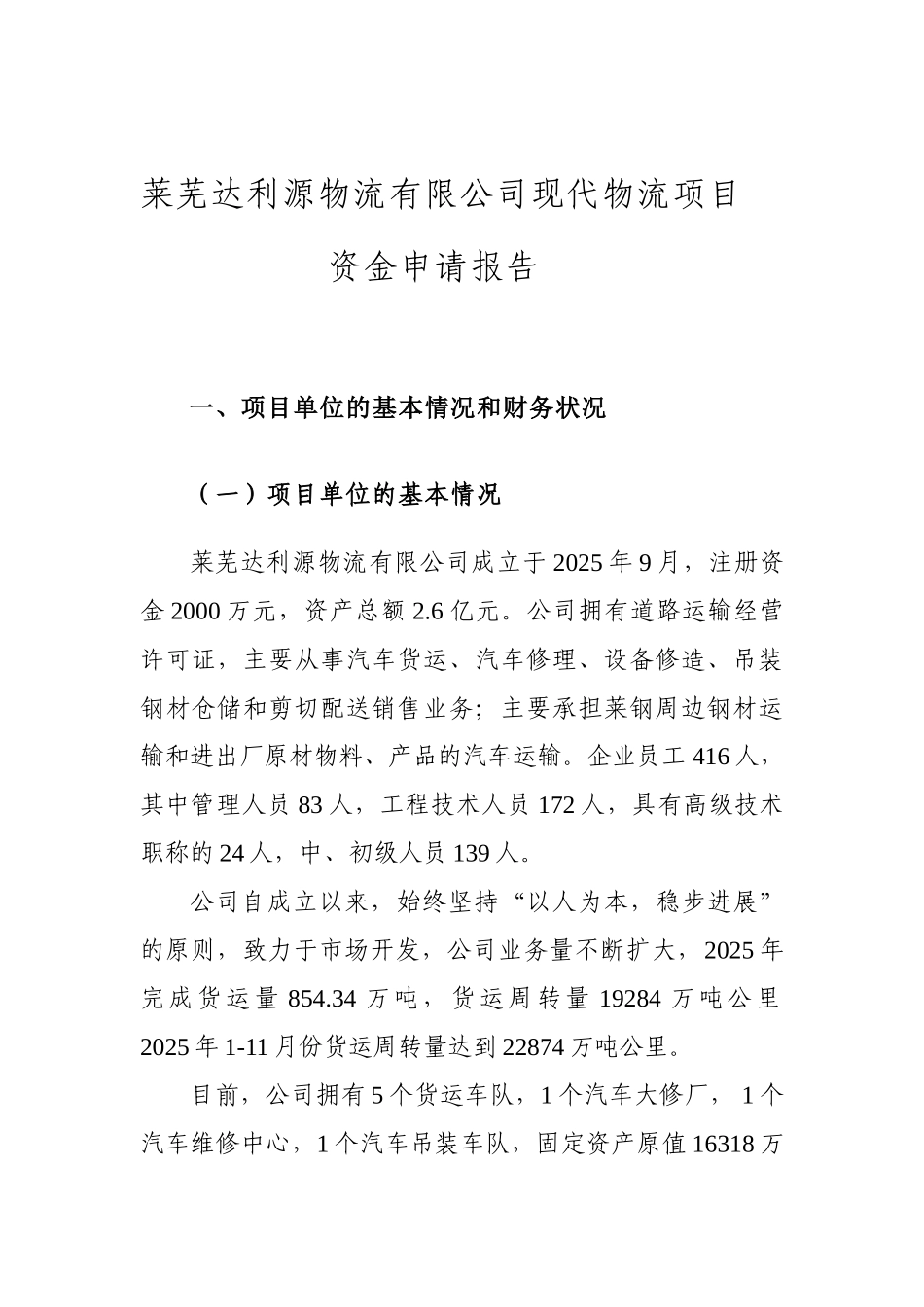 莱芜达利源现代物流项目资金申请报告_第2页